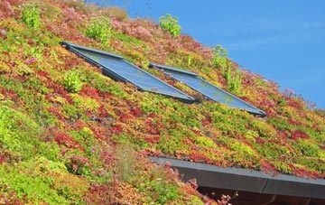 St Mary In The Marsh living roof systems