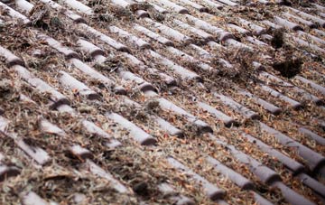 St Mary In The Marsh roof cleaning companies